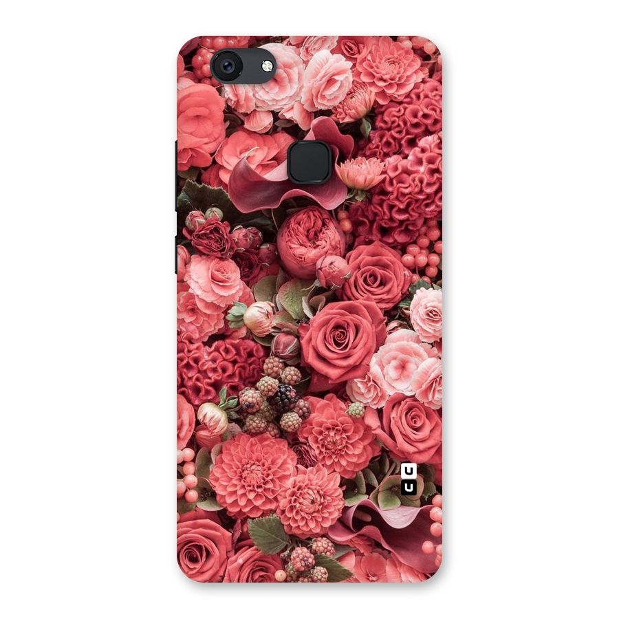 Shades Of Peach Back Case for Vivo V7 Plus