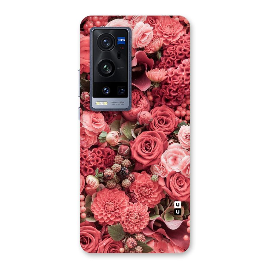 Shades Of Peach Back Case for Vivo X60 Pro Plus