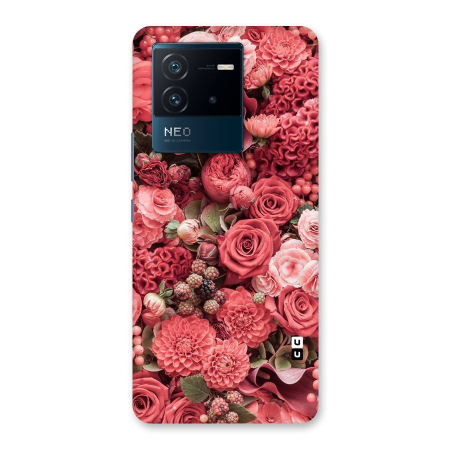 Shades Of Peach Back Case for Vivo iQOO Neo 6 5G
