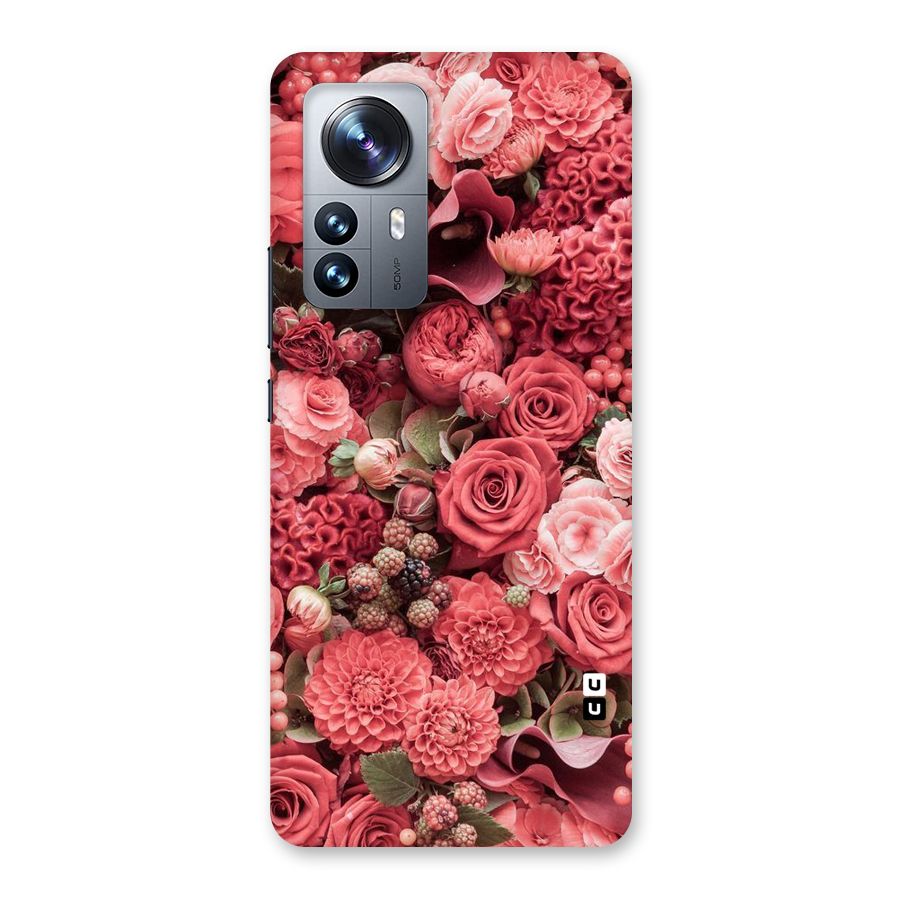 Shades Of Peach Back Case for Xiaomi 12 Pro