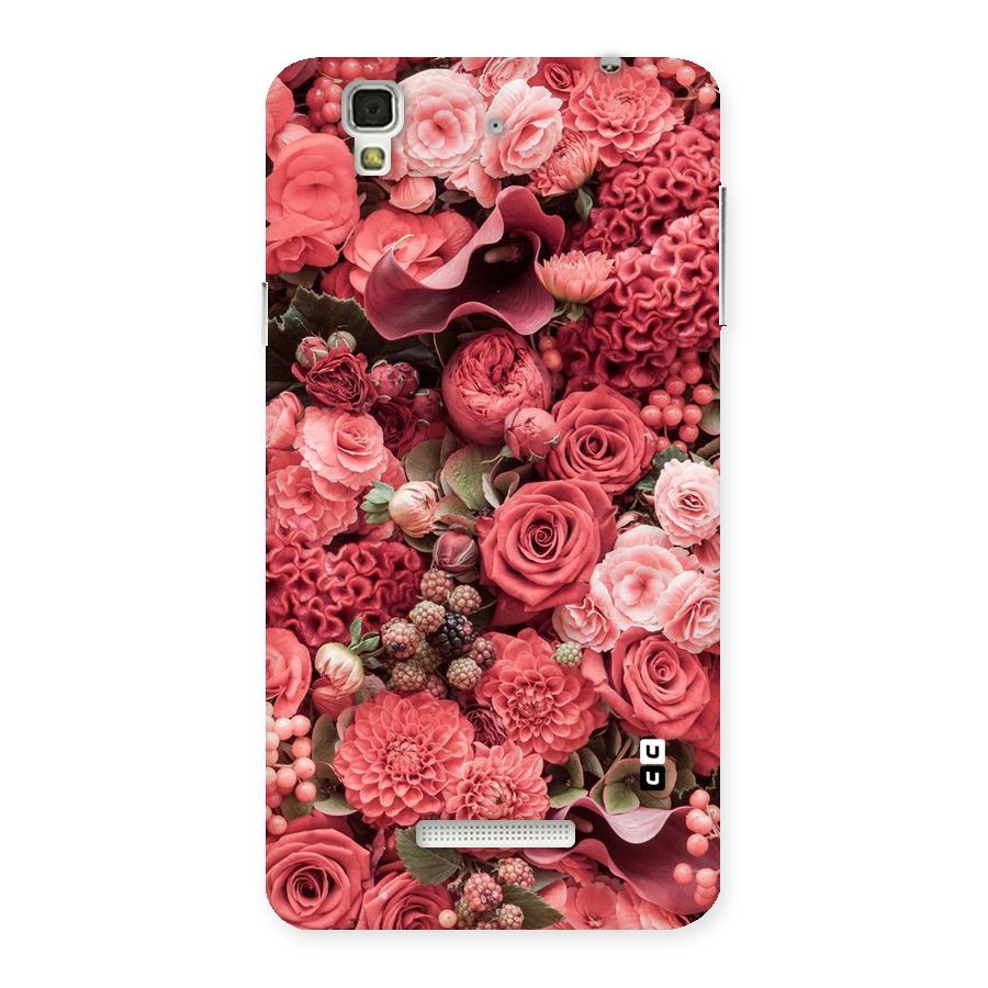 Shades Of Peach Back Case for YU Yureka Plus