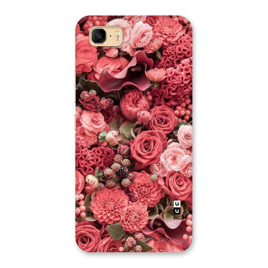 Shades Of Peach Back Case for Zenfone 3s Max