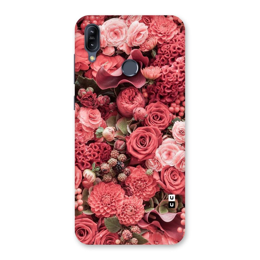 Shades Of Peach Back Case for Zenfone Max M2