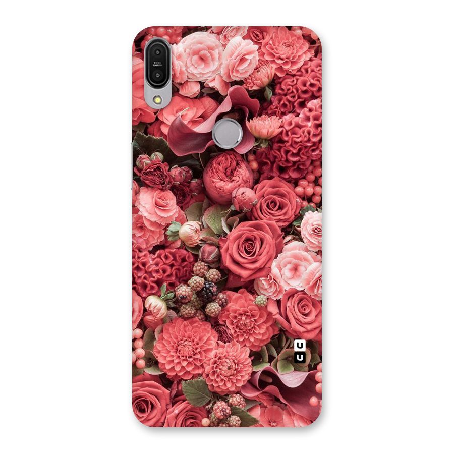 Shades Of Peach Back Case for Zenfone Max Pro M1