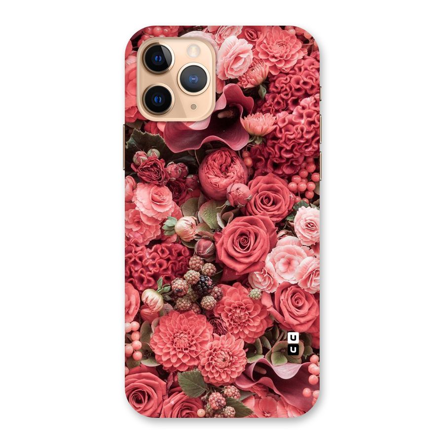 Shades Of Peach Back Case for iPhone 11 Pro