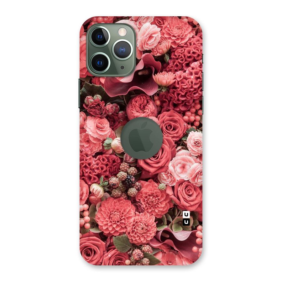 Shades Of Peach Back Case for iPhone 11 Pro Logo  Cut