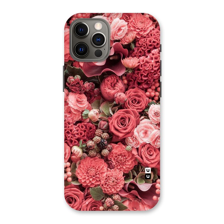 Shades Of Peach Back Case for iPhone 12 Pro