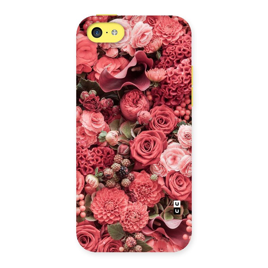 Shades Of Peach Back Case for iPhone 5C
