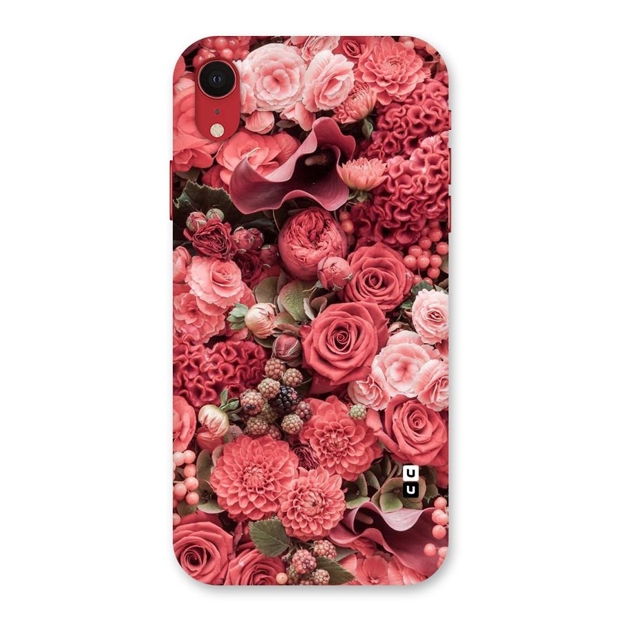 Shades Of Peach Back Case for iPhone XR