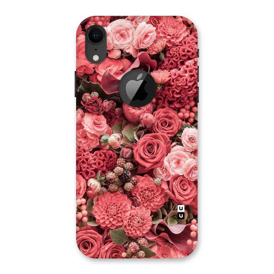 Shades Of Peach Back Case for iPhone XR Logo Cut