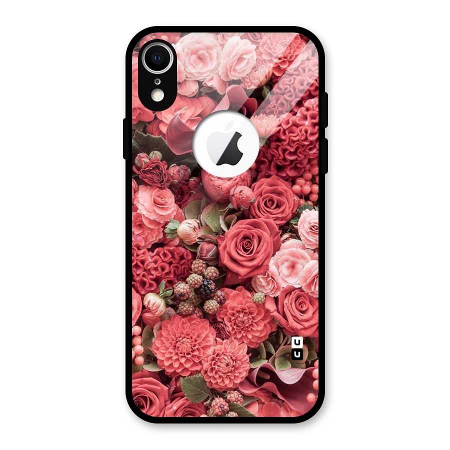 Shades Of Peach Glass Back Case for iPhone XR Logo Cut