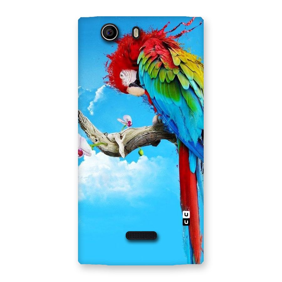 Sky Parrot Back Case for Canvas Nitro 2 E311