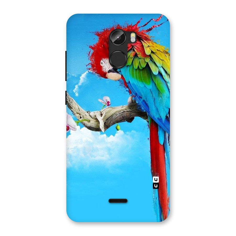 Sky Parrot Back Case for Gionee X1