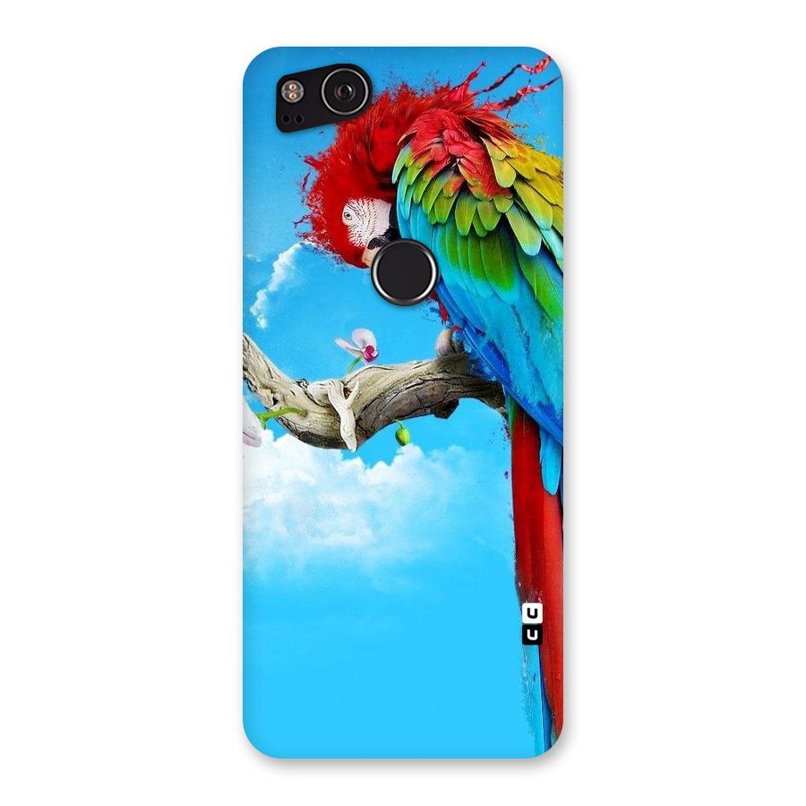 Sky Parrot Back Case for Google Pixel 2