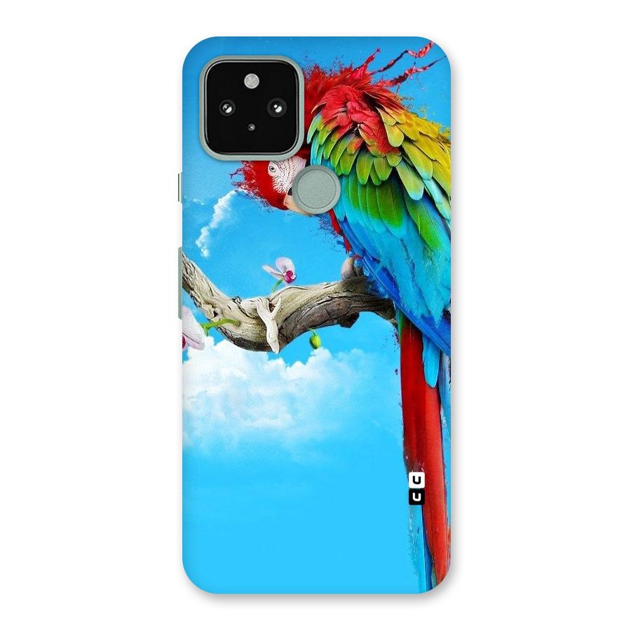 Sky Parrot Back Case for Google Pixel 5