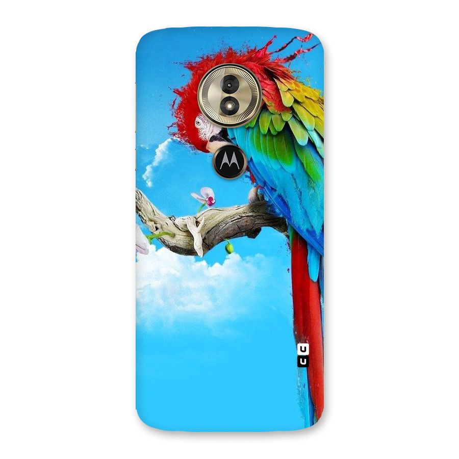 Sky Parrot Back Case for Moto G6 Play
