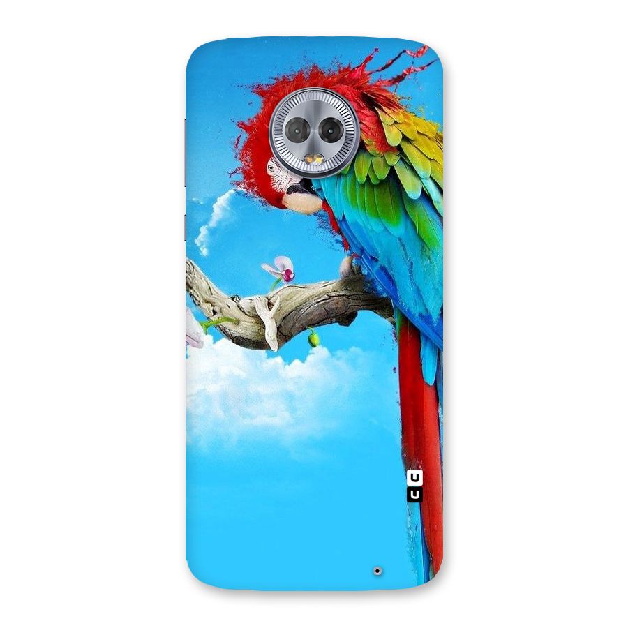 Sky Parrot Back Case for Moto G6 Plus