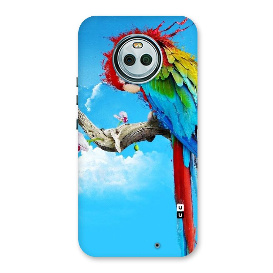 Sky Parrot Back Case for Moto X4
