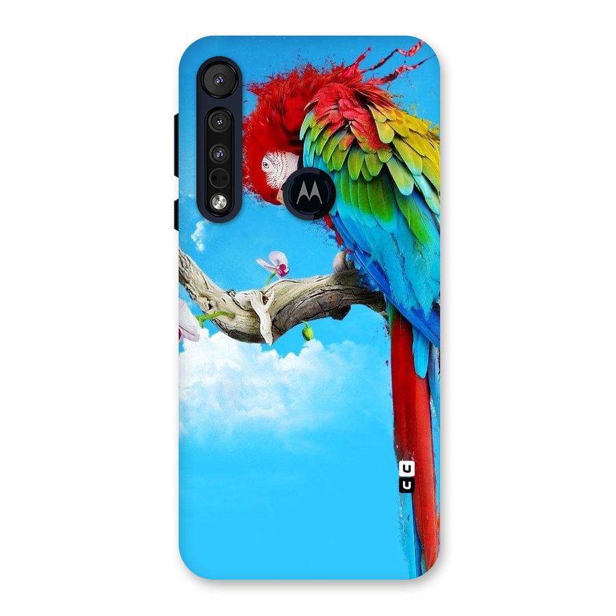 Sky Parrot Back Case for Motorola One Macro