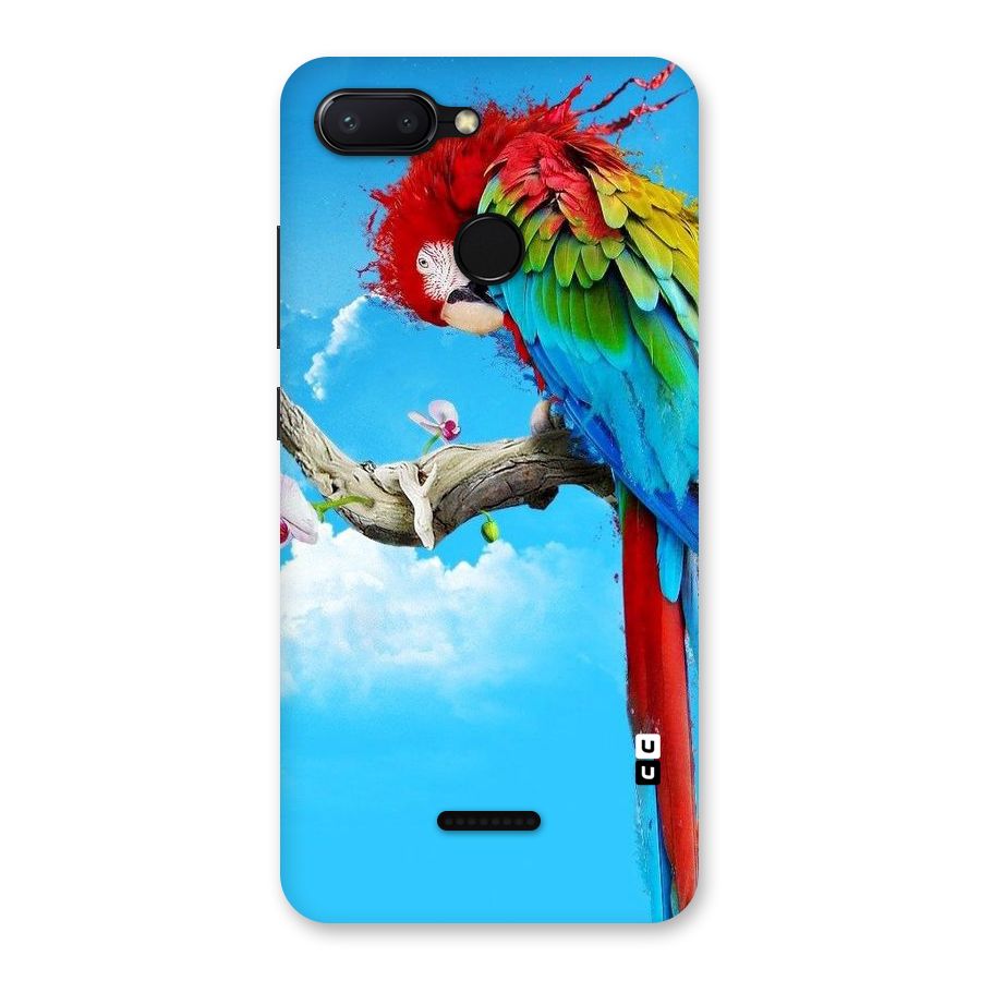 Sky Parrot Back Case for Redmi 6