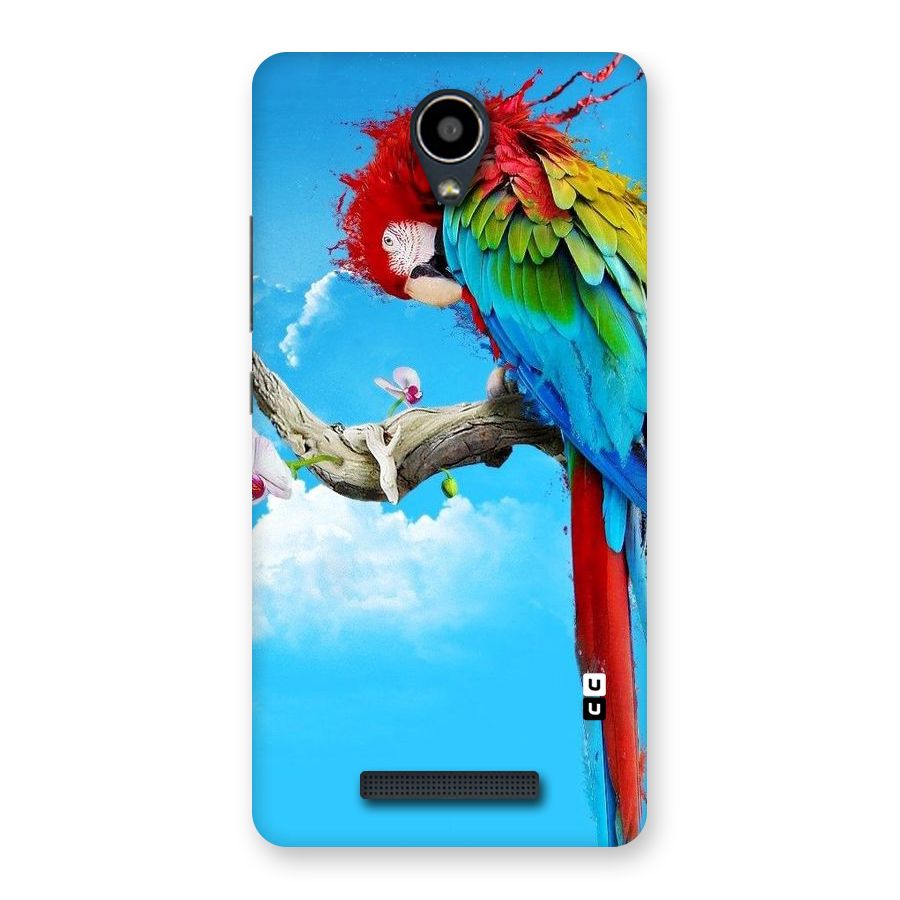 Sky Parrot Back Case for Redmi Note 2