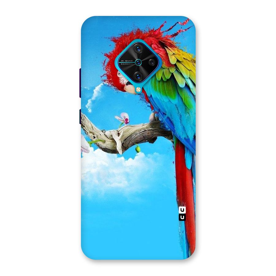Sky Parrot Back Case for Vivo S1 Pro