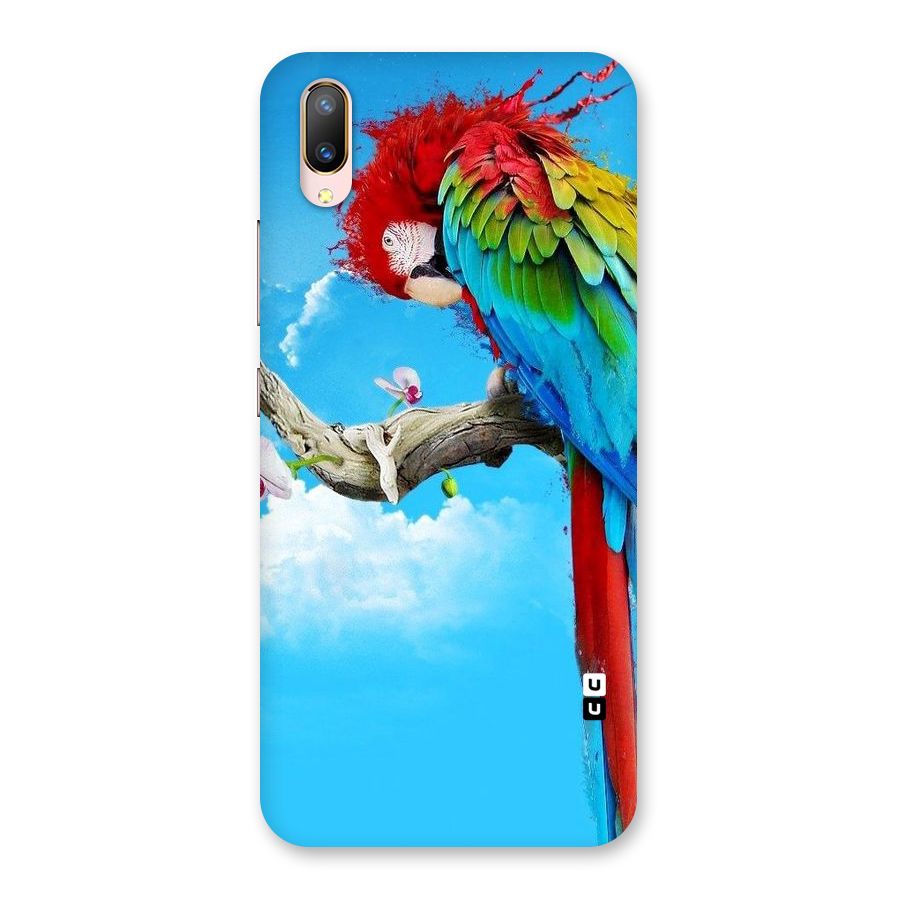 Sky Parrot Back Case for Vivo V11 Pro