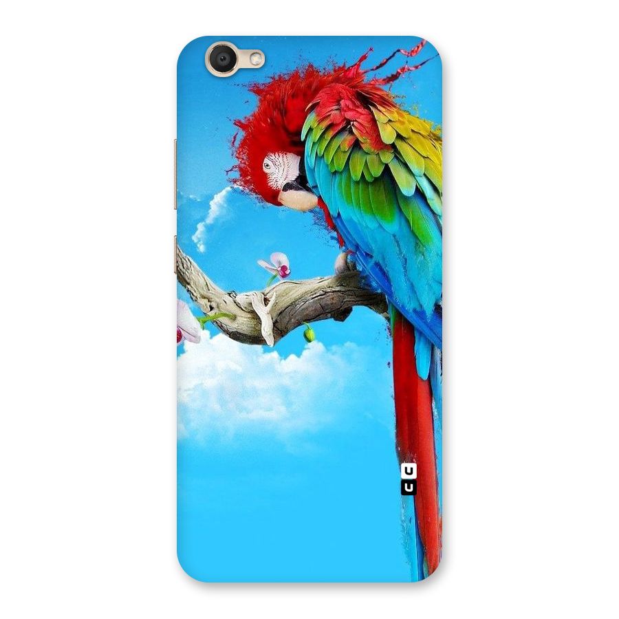 Sky Parrot Back Case for Vivo V5