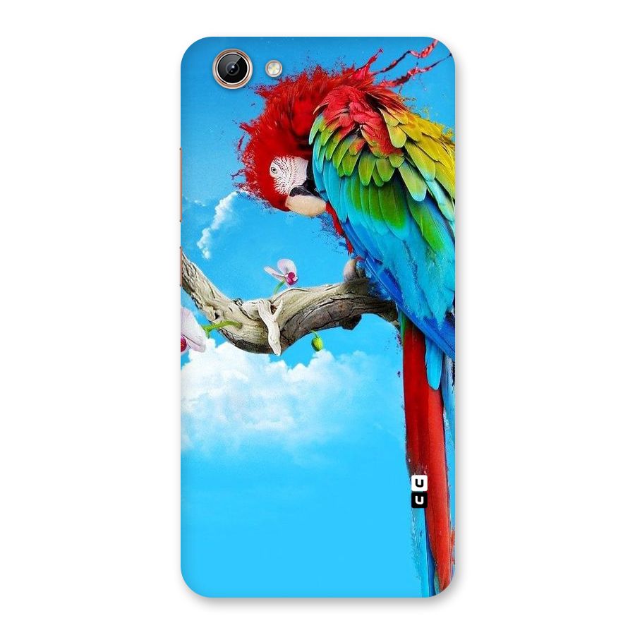 Sky Parrot Back Case for Vivo Y71i