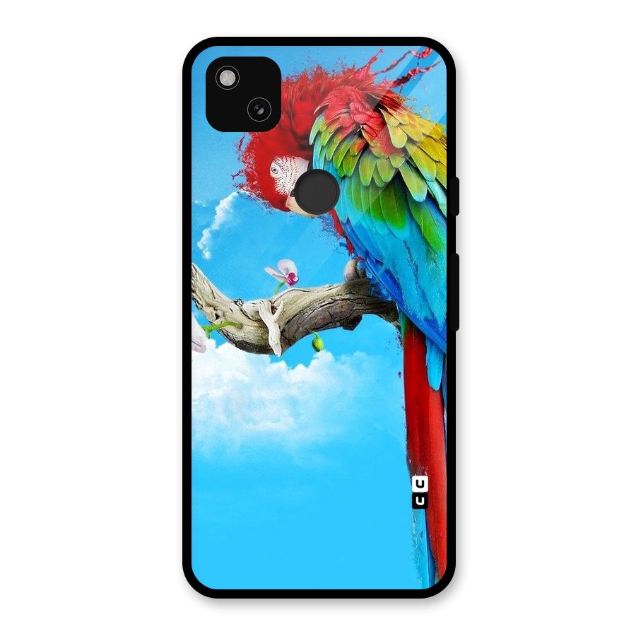 Sky Parrot Glass Back Case for Google Pixel 4a