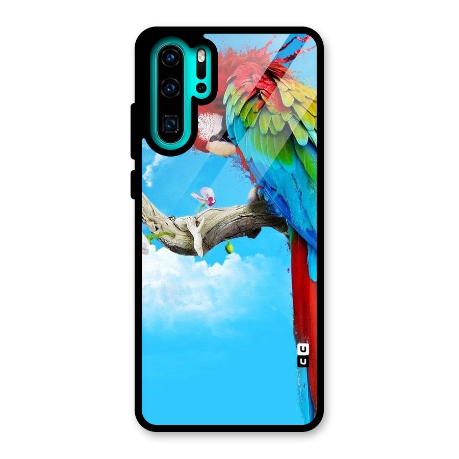 Sky Parrot Glass Back Case for Huawei P30 Pro
