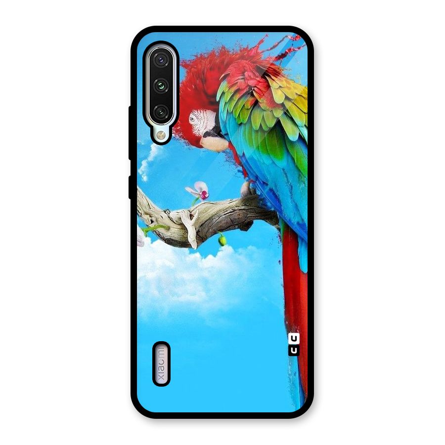 Sky Parrot Glass Back Case for Mi A3