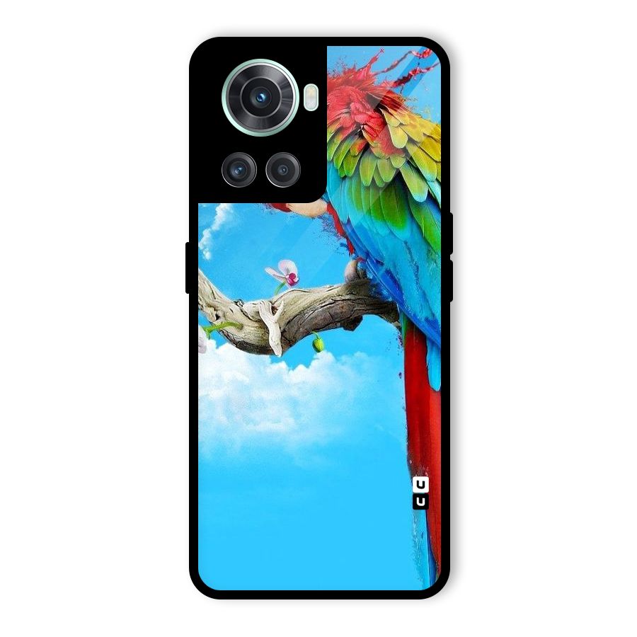 Sky Parrot Glass Back Case for OnePlus 10R