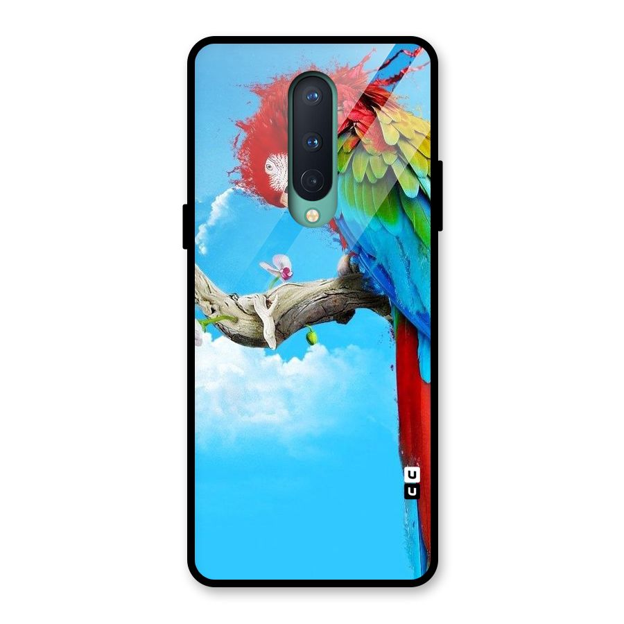 Sky Parrot Glass Back Case for OnePlus 8