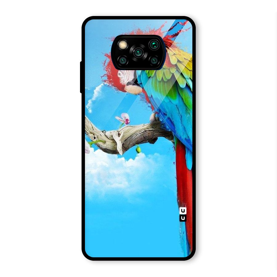 Sky Parrot Glass Back Case for Poco X3 Pro
