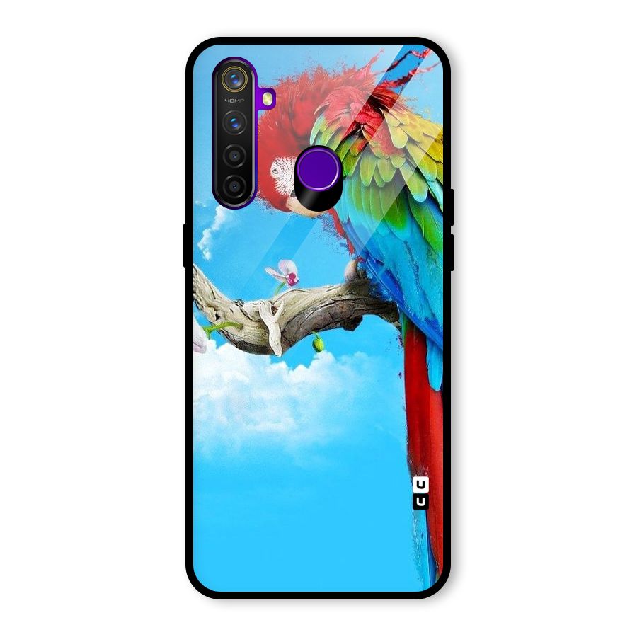 Sky Parrot Glass Back Case for Realme 5 Pro