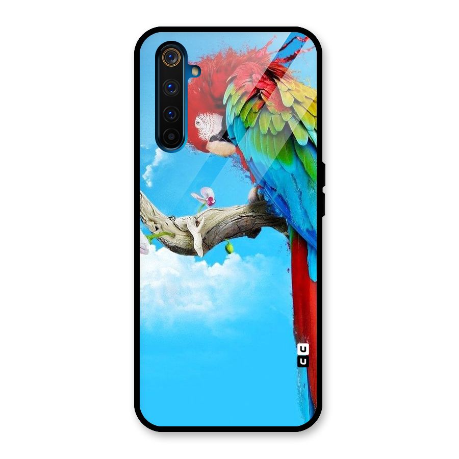 Sky Parrot Glass Back Case for Realme 6 Pro