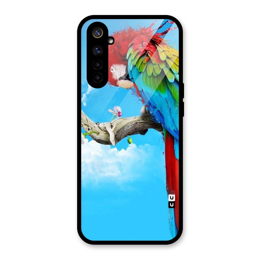 Sky Parrot Glass Back Case for Realme 6i