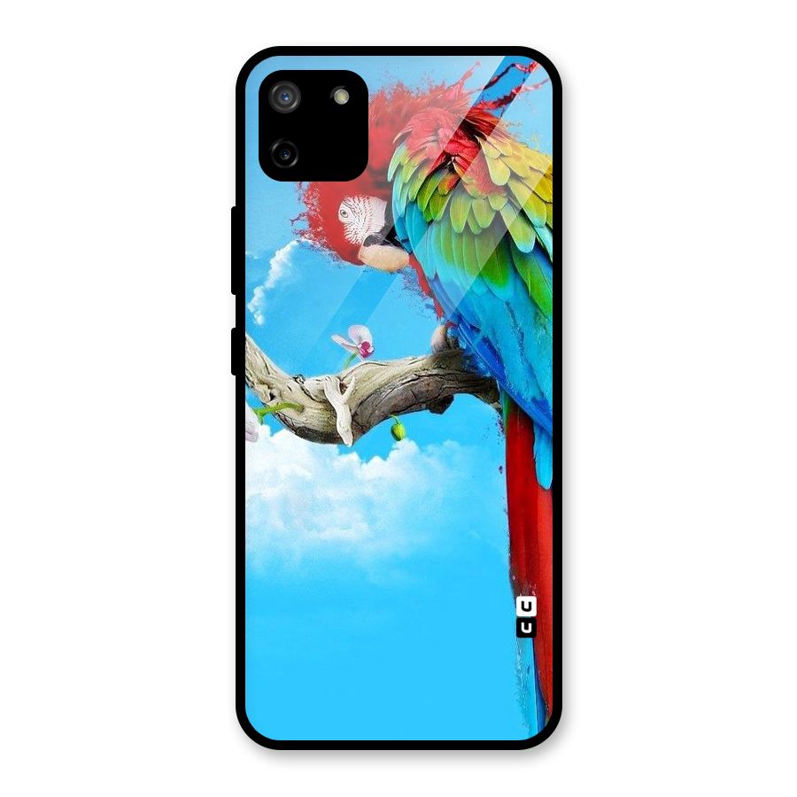 Sky Parrot Glass Back Case for Realme C11