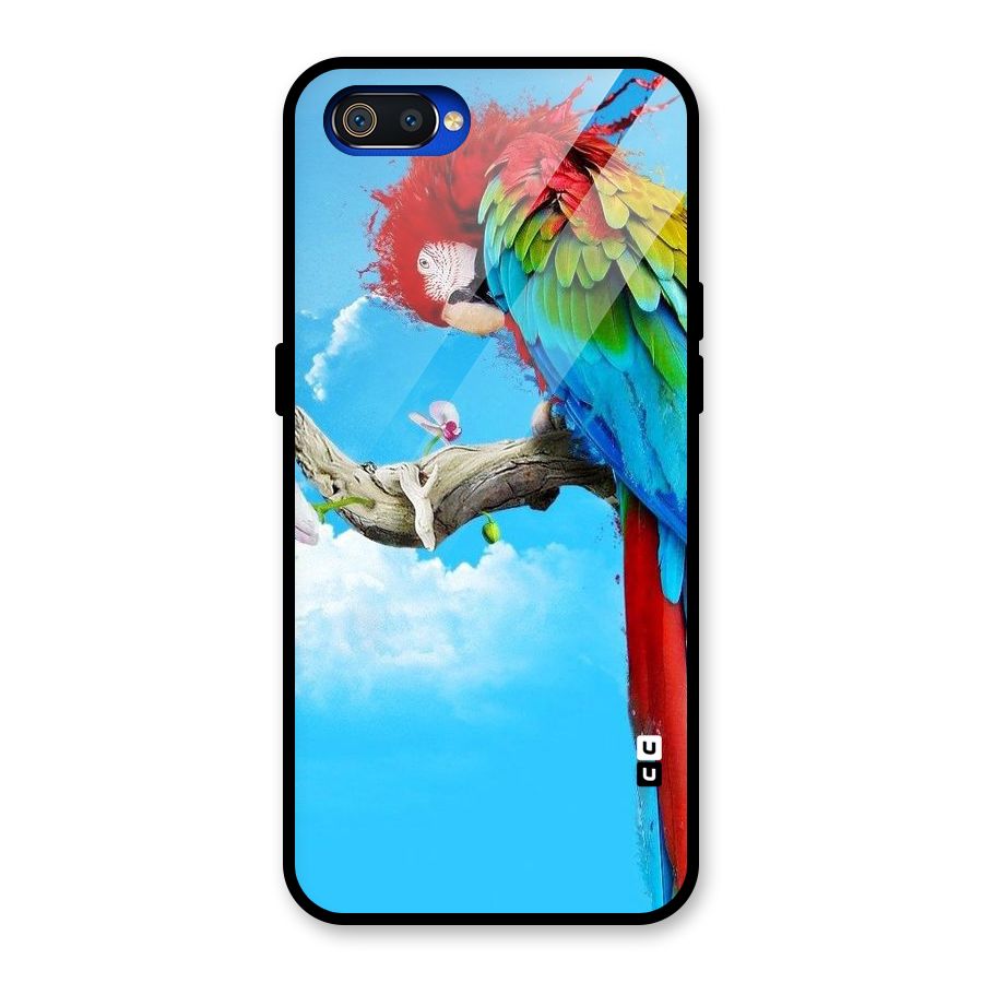 Sky Parrot Glass Back Case for Realme C2