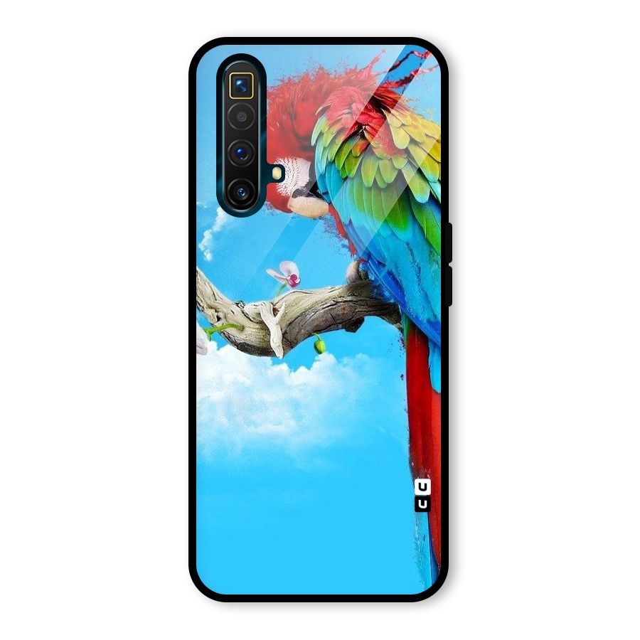Sky Parrot Glass Back Case for Realme X3