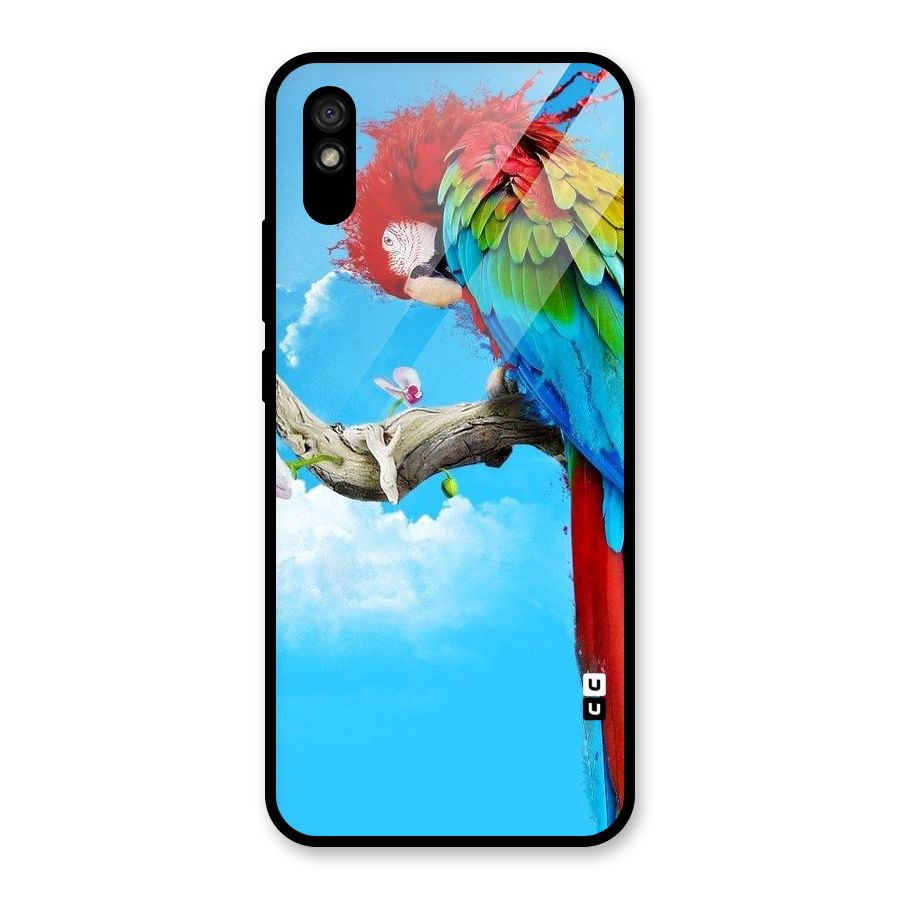Sky Parrot Glass Back Case for Redmi 9i