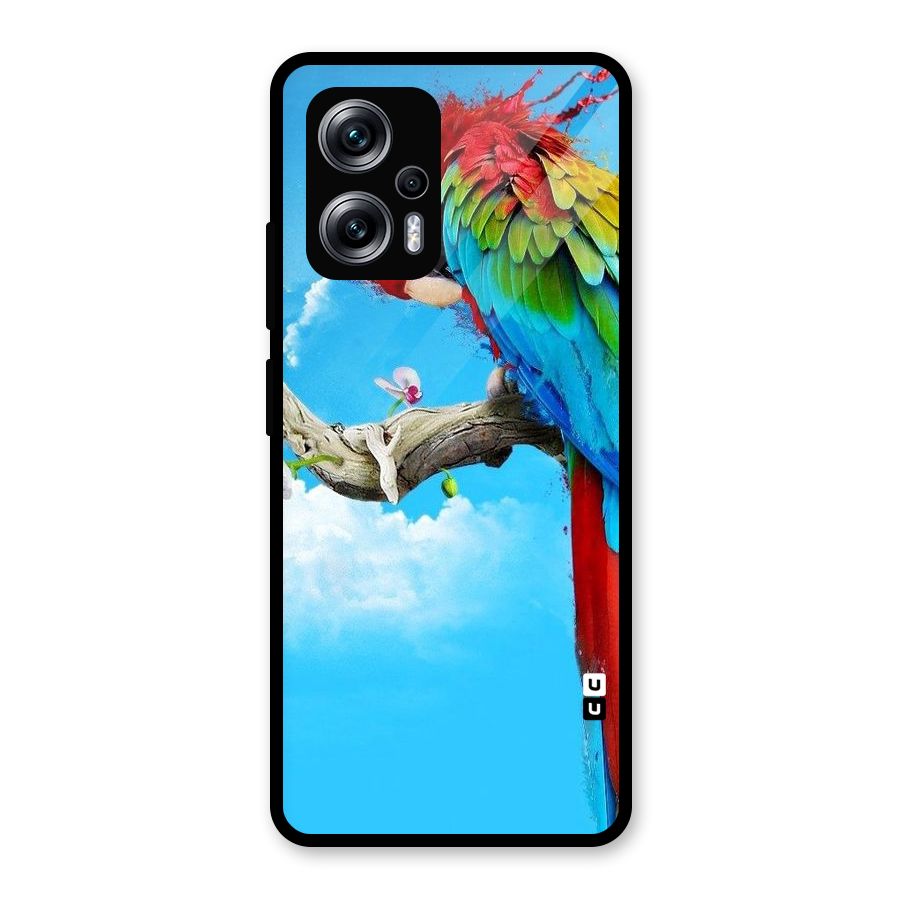 Sky Parrot Glass Back Case for Redmi K50i