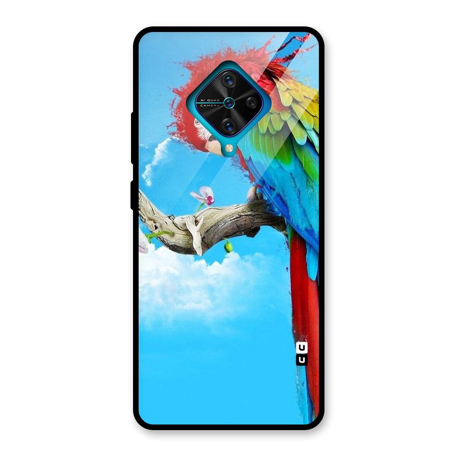 Sky Parrot Glass Back Case for Vivo S1 Pro