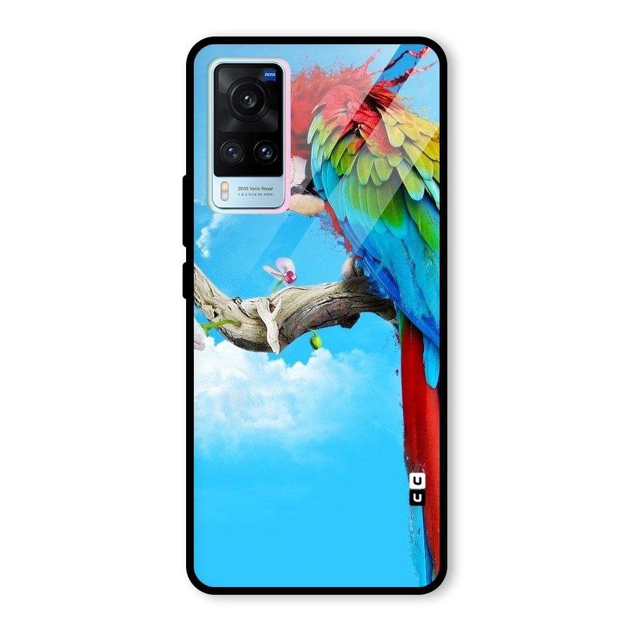 Sky Parrot Glass Back Case for Vivo X60