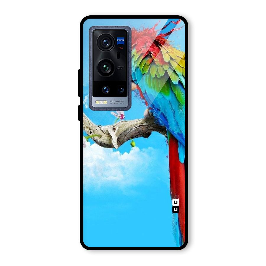 Sky Parrot Glass Back Case for Vivo X60 Pro Plus