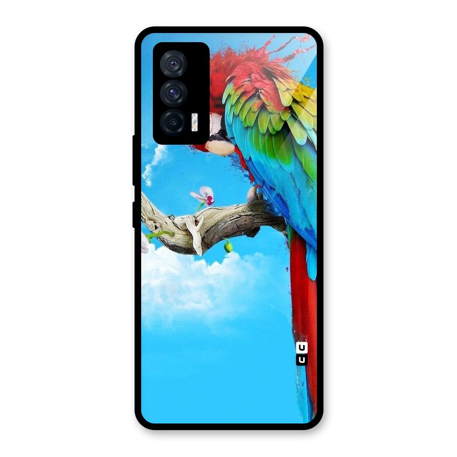 Sky Parrot Glass Back Case for Vivo iQOO 7 5G