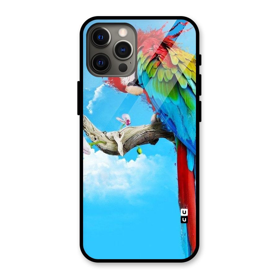Sky Parrot Glass Back Case for iPhone 12 Pro Max