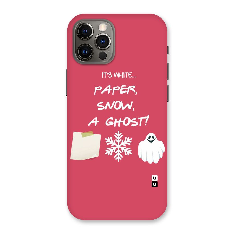 Snow Paper Back Case for iPhone 12 Pro
