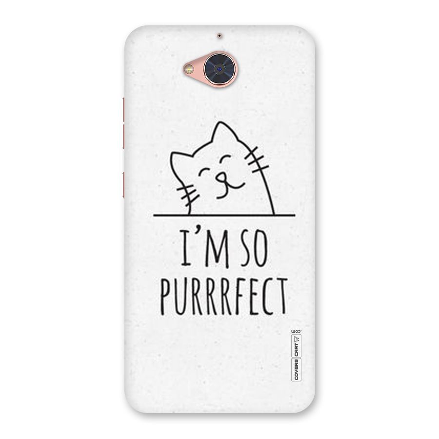 So Purrfect Back Case for Gionee S6 Pro